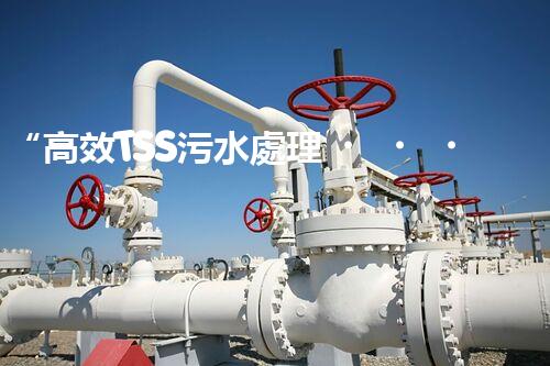 “高效TSS污水處理，守護碧水藍天新篇章”